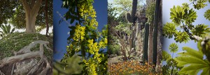 img-giardino-lamadegliulivi